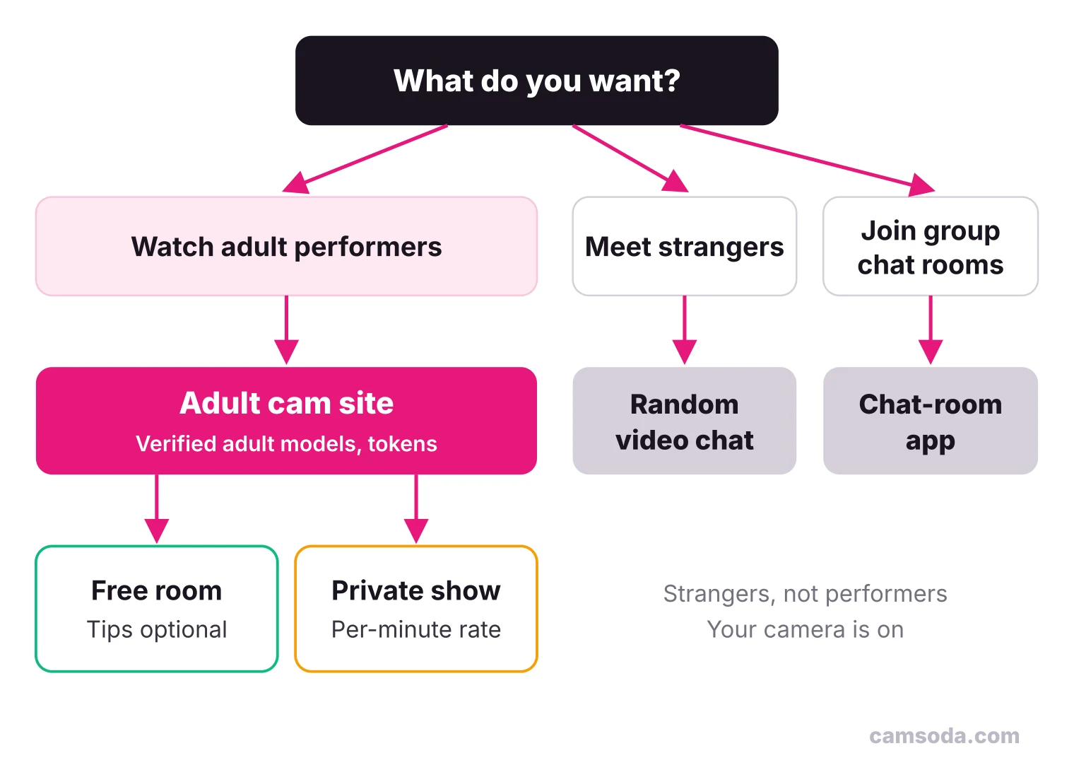 Decision tree: to watch performers, pick an adult cam site, free or private; to meet strangers, a random video chat app