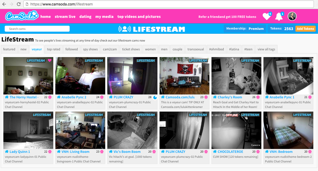 Voyeur Life Stream pic image